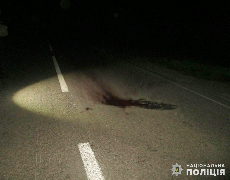 
			� ������� ������ ������������ �����: ���� ����� �������� ������ ���&hellip;		