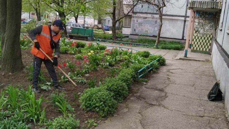 ���������� ���������� «��������������» ���������� �� �������� ����������