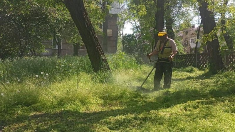 � ����������� ������ ������������ ���� �����