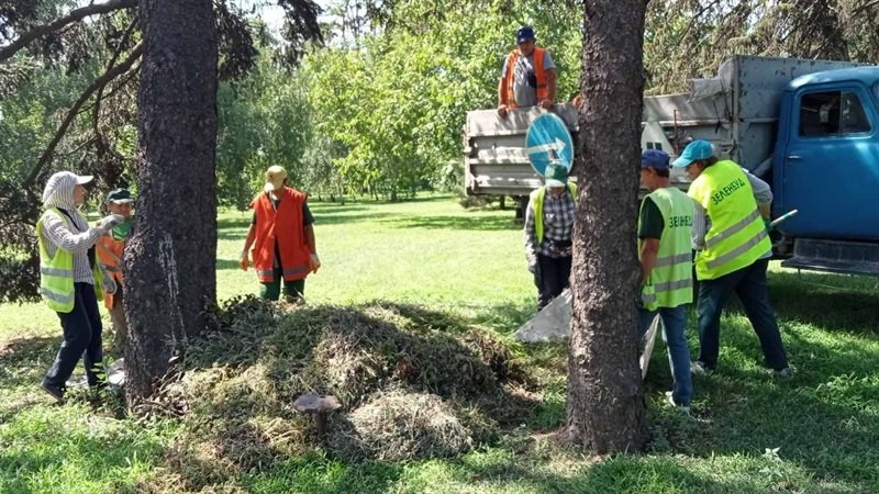 У Запоріжжі тривають сезонні роботи з благоустрою
