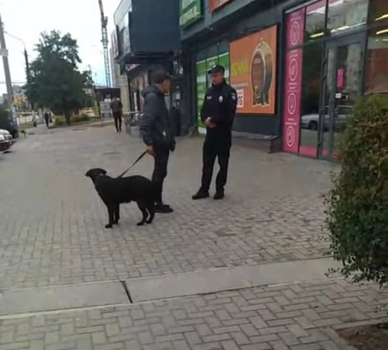       — 