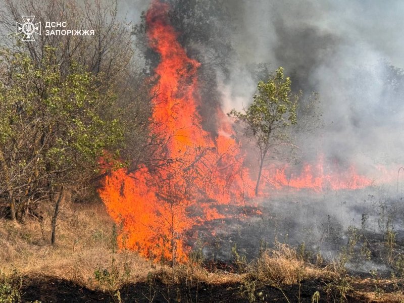 � ������� �� ������� ������� 40 �������: ������ �����������. ����