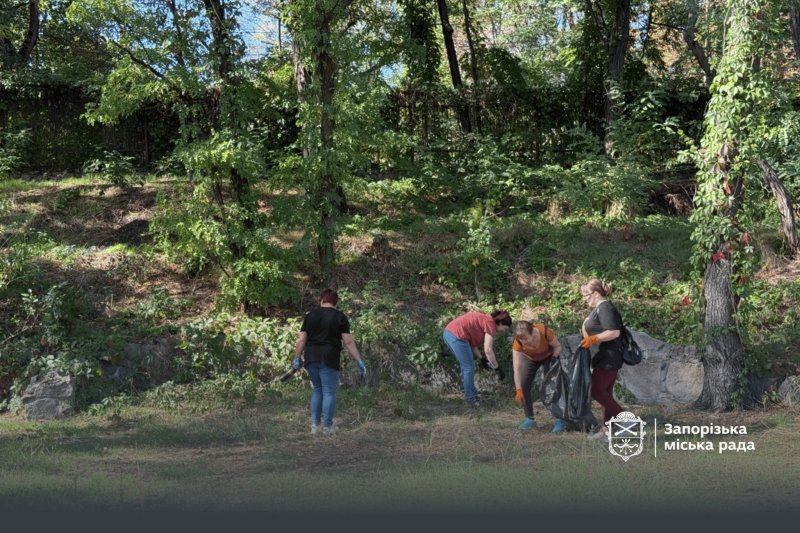 ���������� ������� ����������� �� ��������� �����