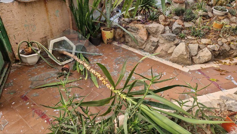 ������ ���������� ���������� ��� � �������: �������� ������� �����. ����. ²���