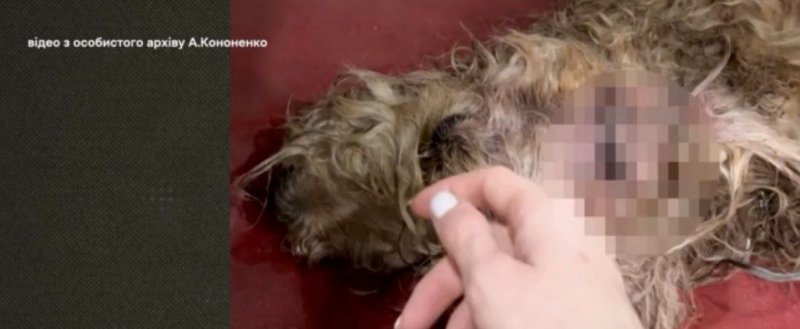 � ������� ������� �������� �� ���� ���� ��������� �� �������� �������� �������������� ������