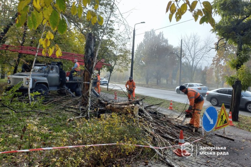 Видаляють сухостійні дерева