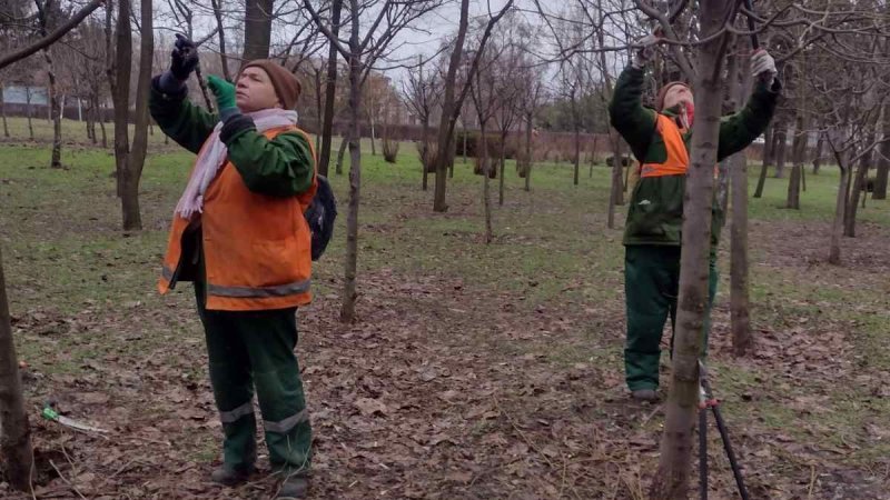 ������� ������ ���������� � �������