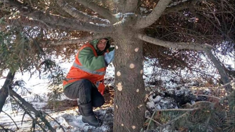 Роботи комунальників у Хортицькому районі