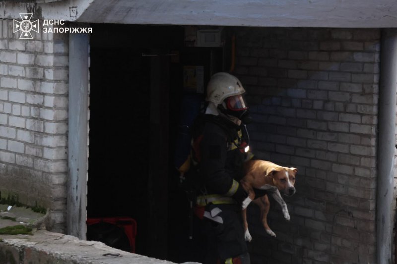 � ������� �� ��� ����� ��������� ���� ���� �� �������� ������