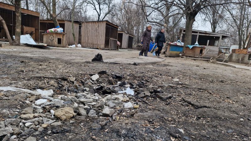 �������� ���������� ���������� ���������� �������� ��� ������ ���� ����� ��