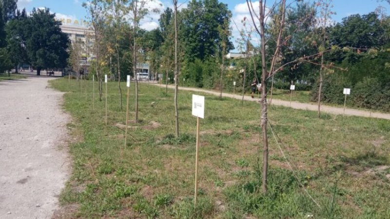 � ������� ������� ����� ��������: �� �����