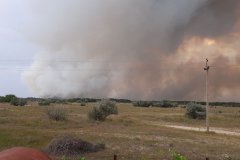 
			����������� ����: �� ������� ����� ���������� ���� ������� �� 2/3		