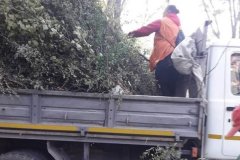 � ����������� ������ ����� ���� ����� �� ��������� ���� 