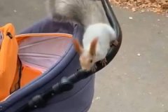 
			          …		