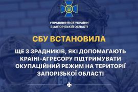    3 ,   -      