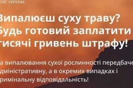 Рятувальники ДСНС України нагадують про штрафи за випалення трави та листя