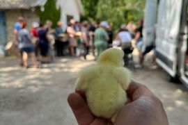 ��������� ��������� ������: ���� ��������.����
