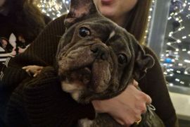 ������� ����� ��� ����������� ��������: �� � ������� ������� ����� ��� ���������� �����. ����. ²���