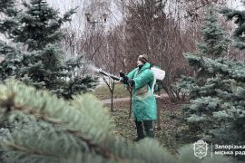 � ������� ����� ������� ����������� ������������ ������. ����