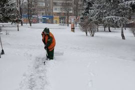 ������������ ������������� ����