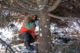 ������ ������������ � ����������� ������