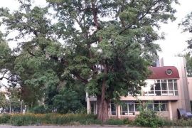 � ������� ������� ���� � ���������� ������ � ��������� ������, ��� ����� ���� ����� ���’����� XIX �������