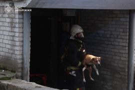 � ������� �� ��� ����� ��������� ���� ���� �� �������� ������