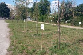 � ������� ������� ����� ��������: �� �����