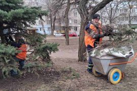 ������ �� �������� ������������ ����