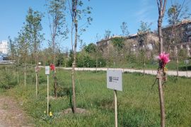 ����� ���������� �� ���������� ����� �������� � �������