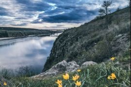 ������ ������� ��������� �������� ��� ������������� ���������� ��������� � �������