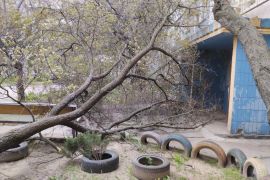 ������ � �������: ����� 100 �������� ��� ������ �����