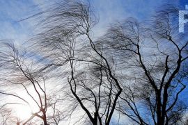 ������ �����: �� ��� ������ ��������� ���������