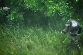 ��������� ���������: �� ������� ���� ������� � ������ ��������������� ����. ²���