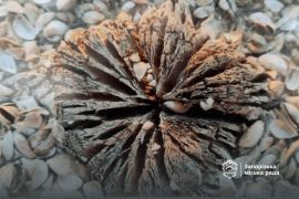 �³��������� �� ����������� �������� ����