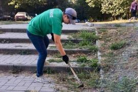 � ����������� ������ ������� ������