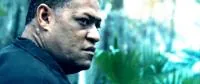 Хищники / Predators