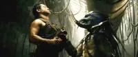 Хищники / Predators