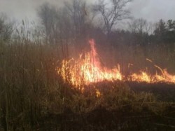 �� �������� �������� 13 �������� ���� 