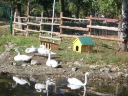 ������ ������������