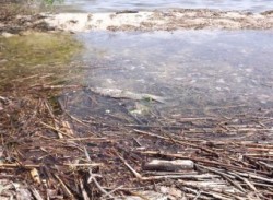 ������ �� ���� � ��������� �������������?