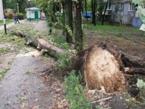 �������� �������� ��� ����� 46 �����