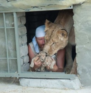 ���������� �� ����� ����� � ����� ����