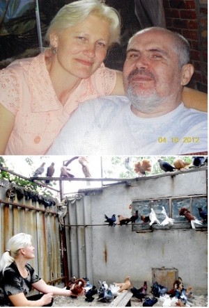 ������ � ������