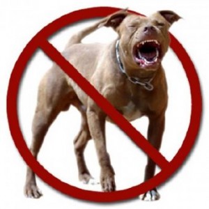 135 ��������� ������������