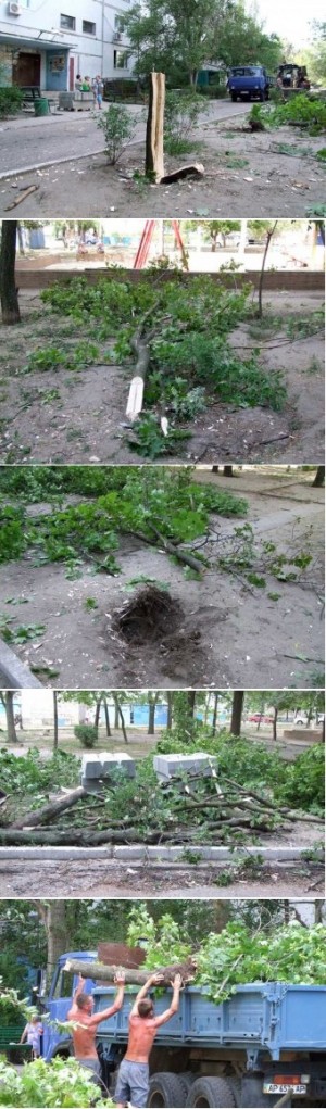 � ���� ���� � ���������� �������� 563 ������