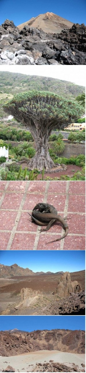 ����� 34. ����� � ��� ������� � 