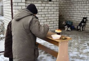 �����: �������� �������� �����, ��� ����������, ������ �� ������ ����?