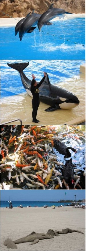 ����� 36. �� ������ ��� ������� � ������� �����������