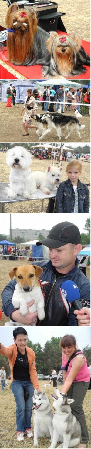 � ���������� ������ ������ ������������� �������� �����